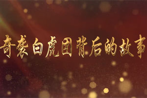 奇袭白虎团背后的故事