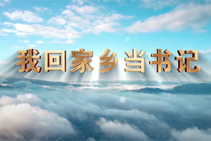 我回家乡当书记