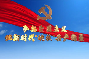 弘扬爱国主义 做新时代“硬核”共产党员