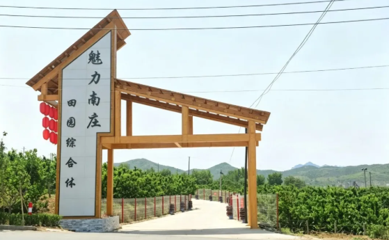 【乡村振兴·共富先锋】福山区门楼街道南庄村党支部：党建领航兴产业 樱桃铺就共富路
