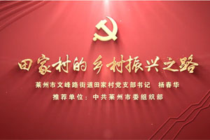 田家村的乡村振兴之路